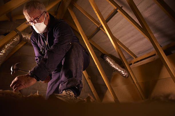 Best Local Insulation Services  in Tiltonsville, OH